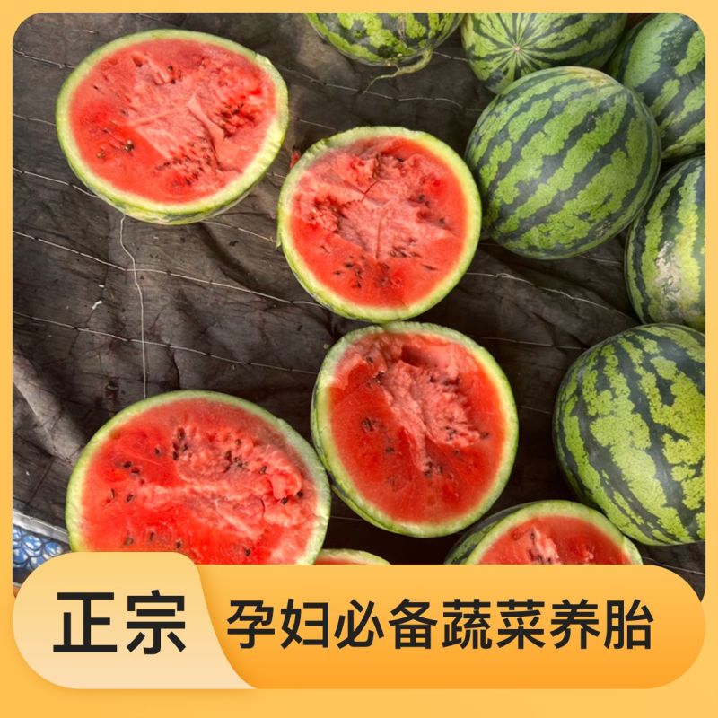 西瓜规格齐全天猫包邮诚信经营