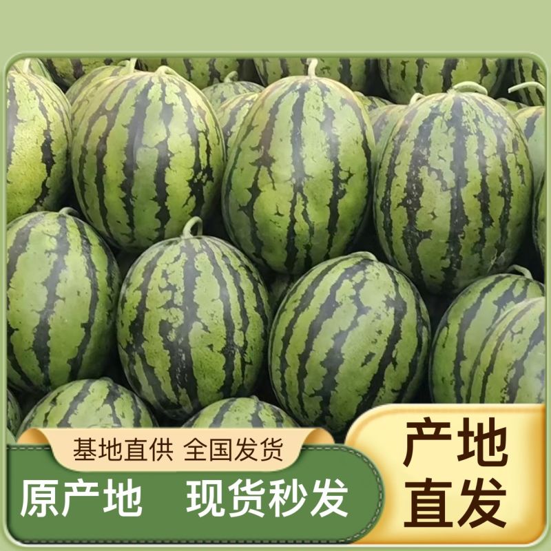 正宗西瓜营养多汁