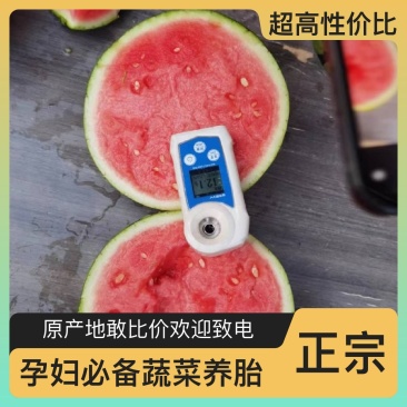 长期供应西瓜正品保障支持拿样