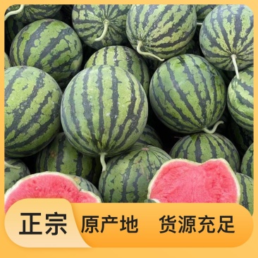 西瓜全国包邮最新日期