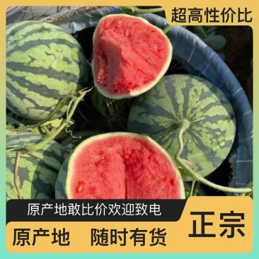 西瓜量大优惠供货