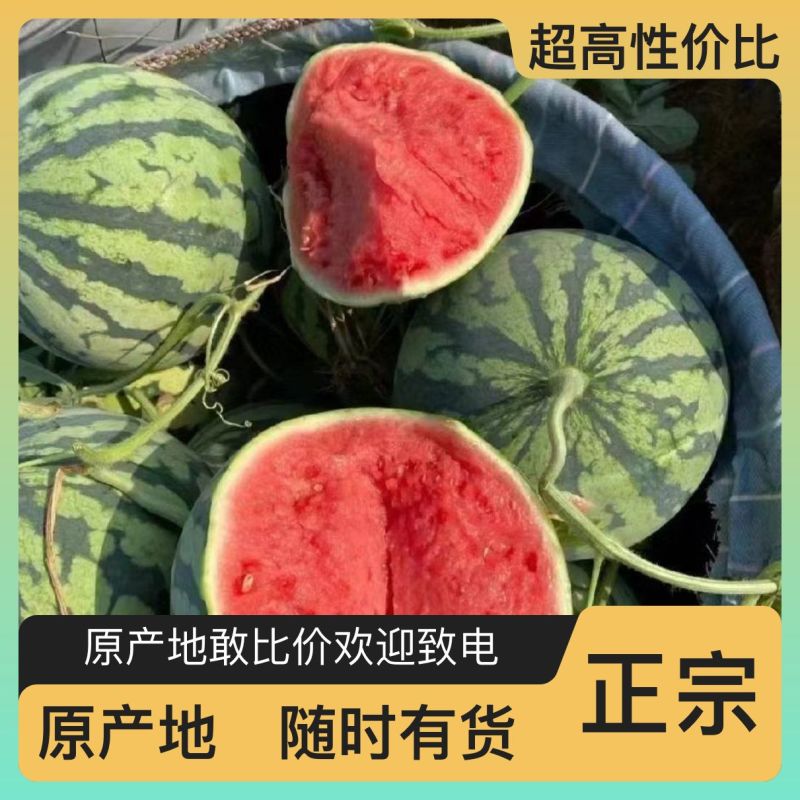 西瓜量大优惠供货