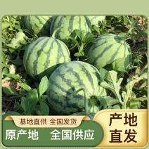 陆地甜王露天甜王西瓜批发商超采购电商代发保质保量西瓜全国供应