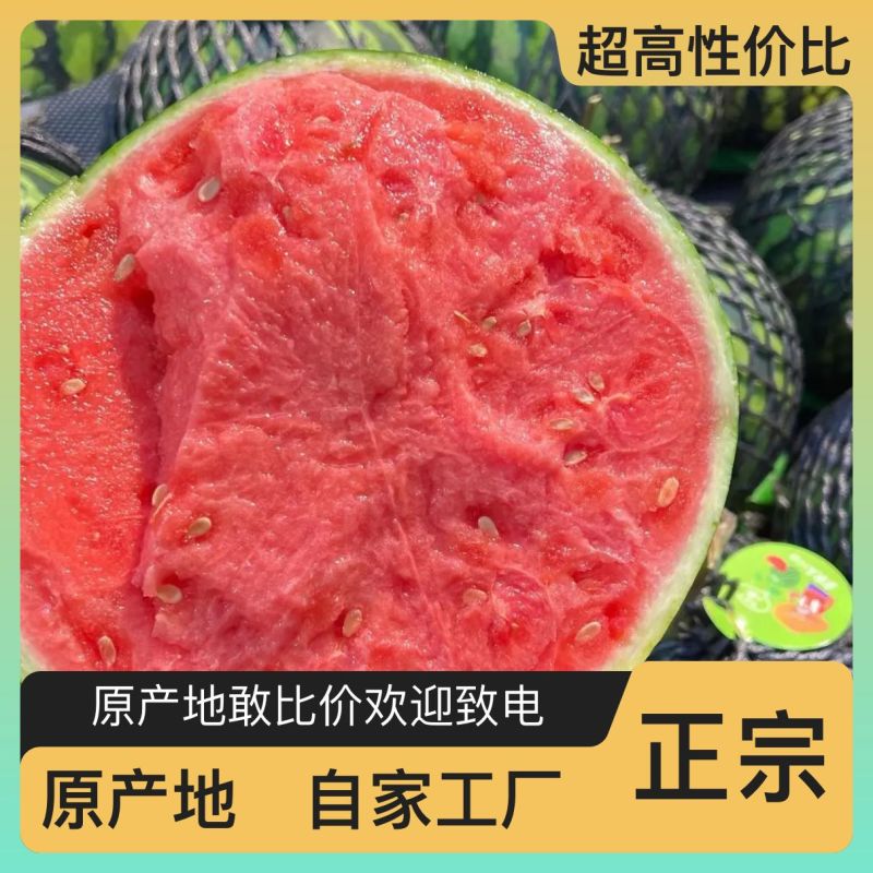 西瓜量大从优一件代发