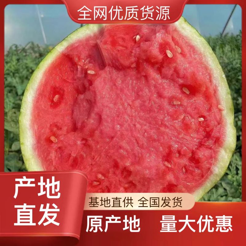 西瓜现货秒发欢迎联系