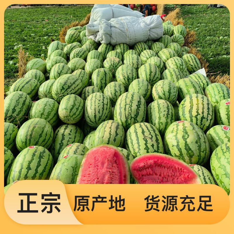 正宗西瓜长期供货