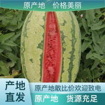 沙地西瓜