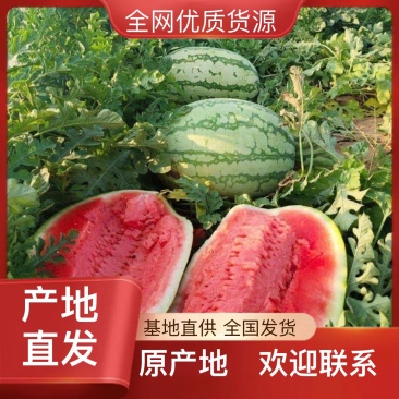 西瓜电商供货量大从优