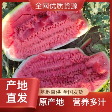 西瓜精品随时有货