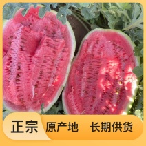 野生锦王西瓜