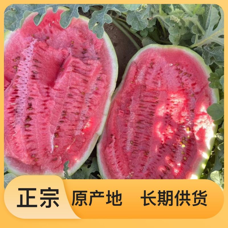 野生锦王西瓜