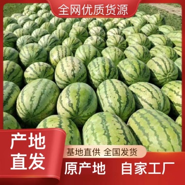 西瓜规格齐全全网低价