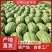 西瓜规格齐全全网低价