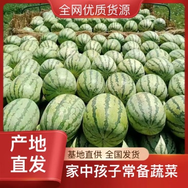 西瓜源头供应量大从优
