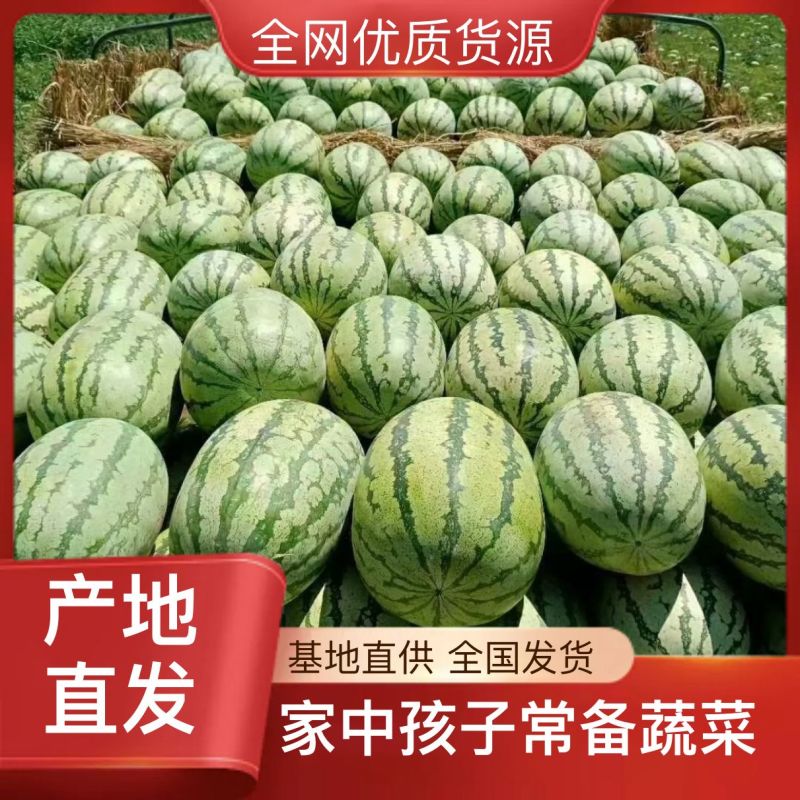 西瓜源头供应量大从优
