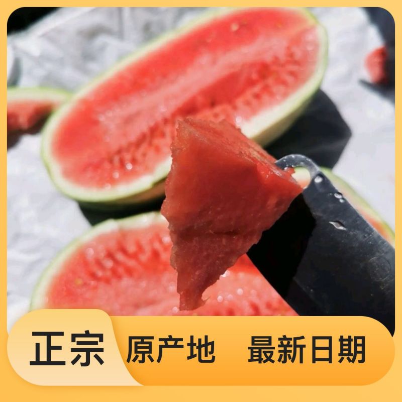 自家基地西瓜下单秒发