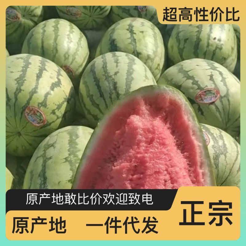 正宗西瓜一手货源