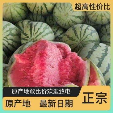 西瓜量大从优产地直发
