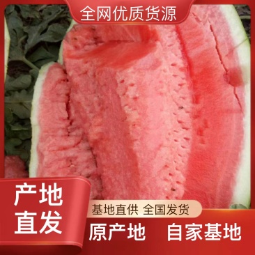 广西北海精品黑美人西瓜一个星期后上市了大吨位供应