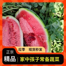 精品西瓜一手货源量大优惠