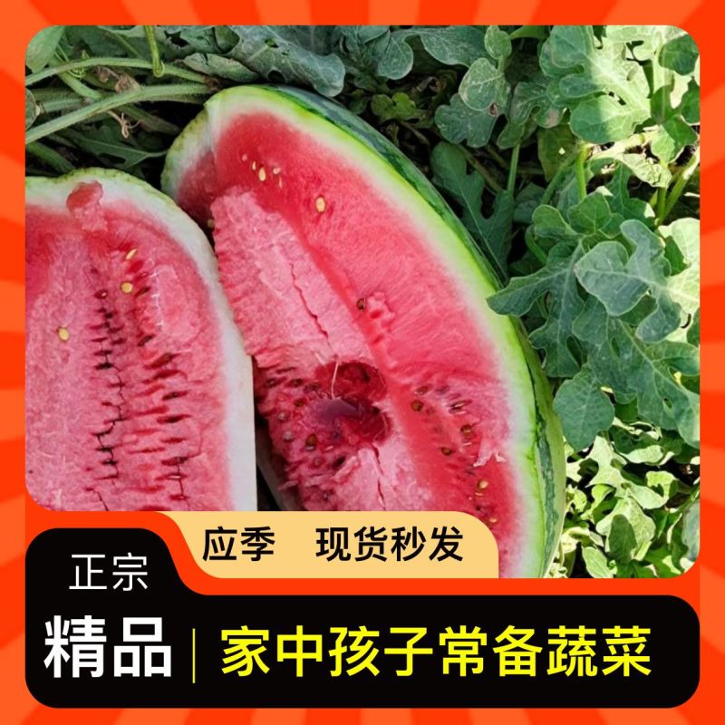西瓜正品保障全国供应