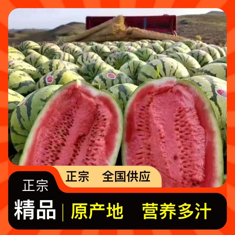 西瓜长远供应源头供应