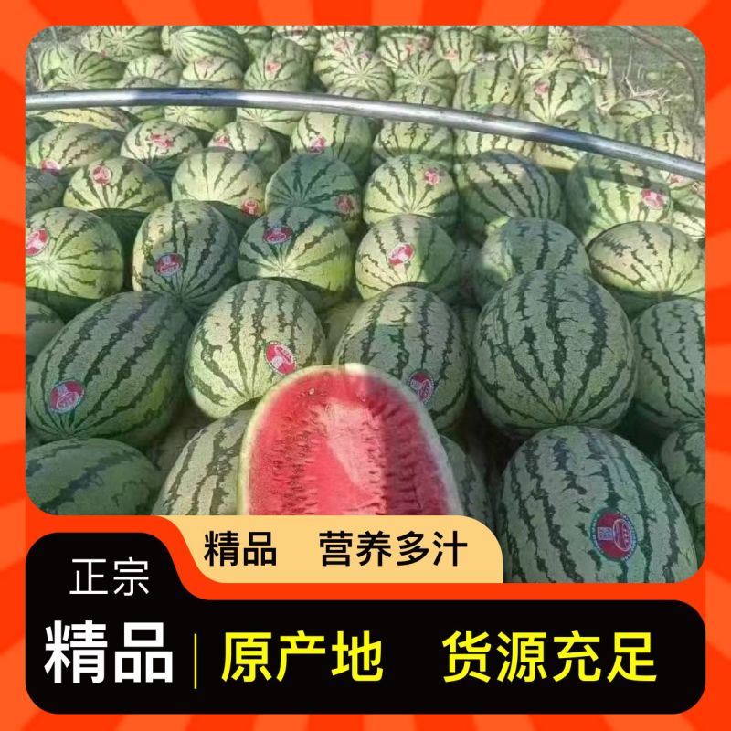 正宗西瓜全国包邮