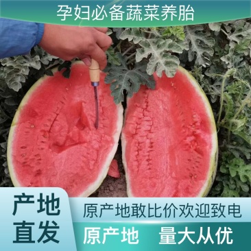 保质保量西瓜长期有货