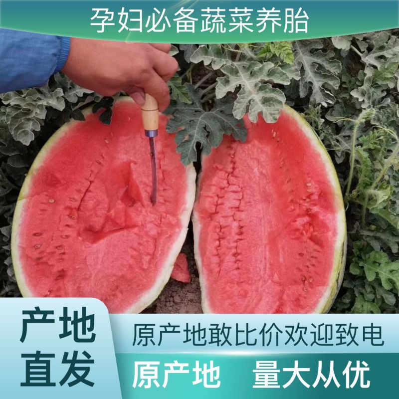 保质保量西瓜长期有货