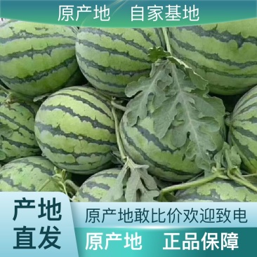 正宗西瓜甜度高品质好