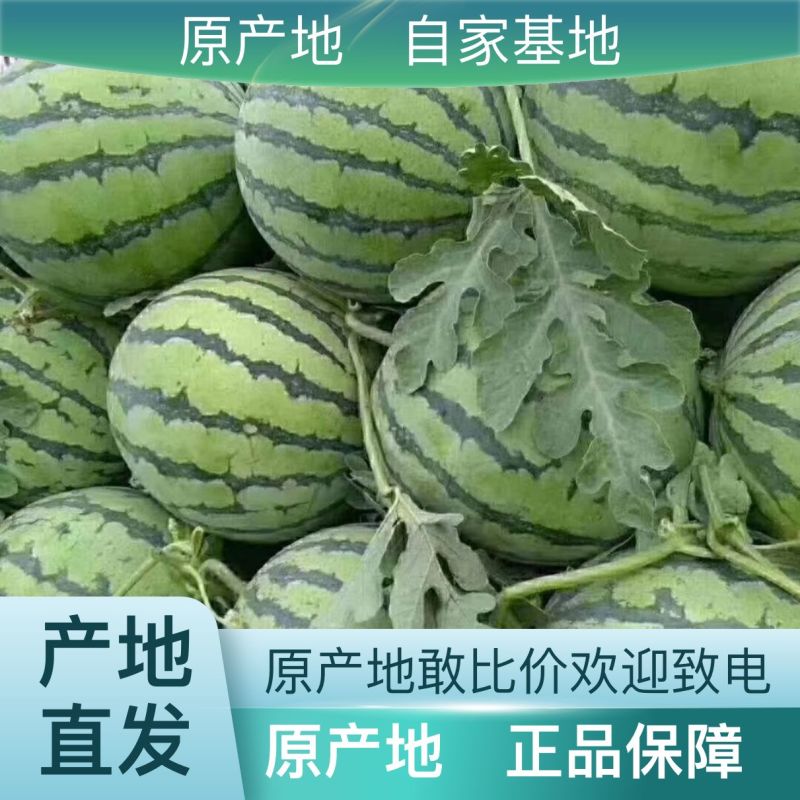 正宗西瓜甜度高品质好