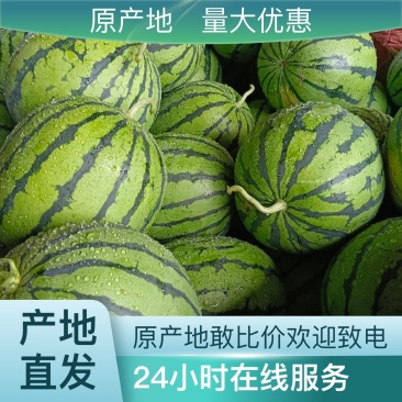 西瓜自家基地一手货源