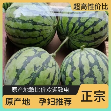 西瓜正宗源头供应