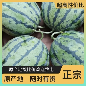 源头供应西瓜甜度高品质好