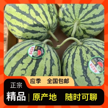 西瓜源头供应正宗