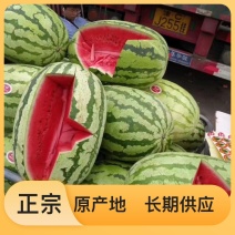 西瓜最新日期超高性价比现货秒发
