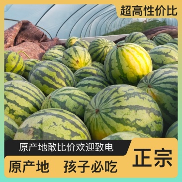 甜度高西瓜欢迎购买
