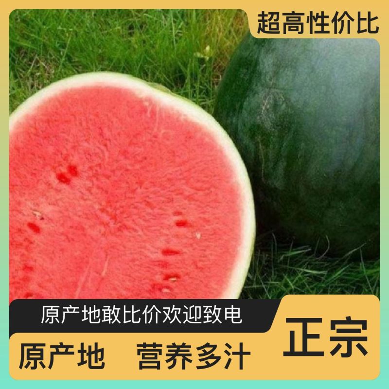 西瓜应季长期有货全国供应