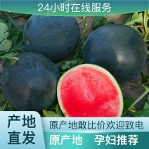 西瓜自家基地一件代发孩子必吃