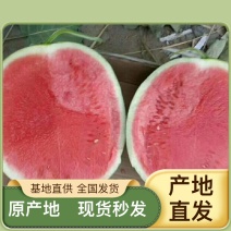 明早到济南自家瓜棚西瓜长期有货欢迎联系