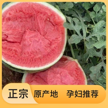 营养多汁西瓜电商供货