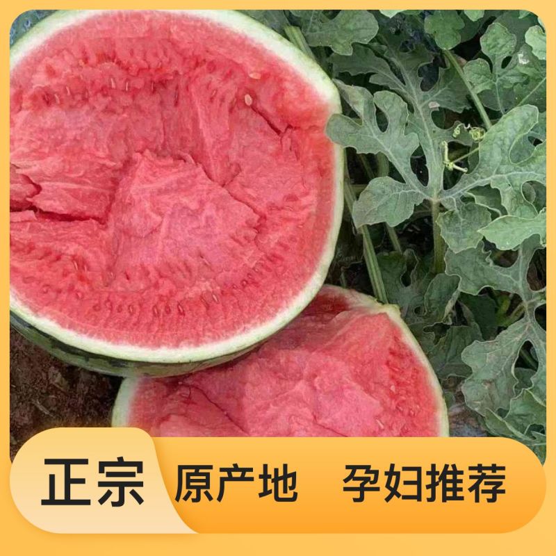 西瓜全网低价长期供货
