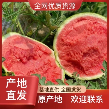 西瓜规格齐全天猫包邮诚信经营