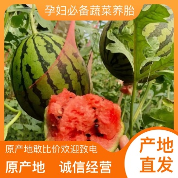 全网优质货源西瓜长期供应量大优惠