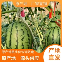 西瓜货源充足量大优惠