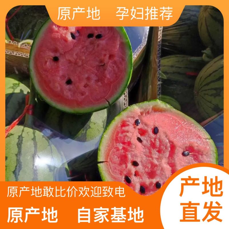 西瓜营养多汁量大从优电商供货