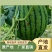 全国供应西瓜孩子必吃