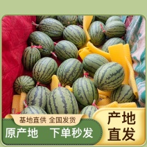 精品吊瓜品质保障，产地代办