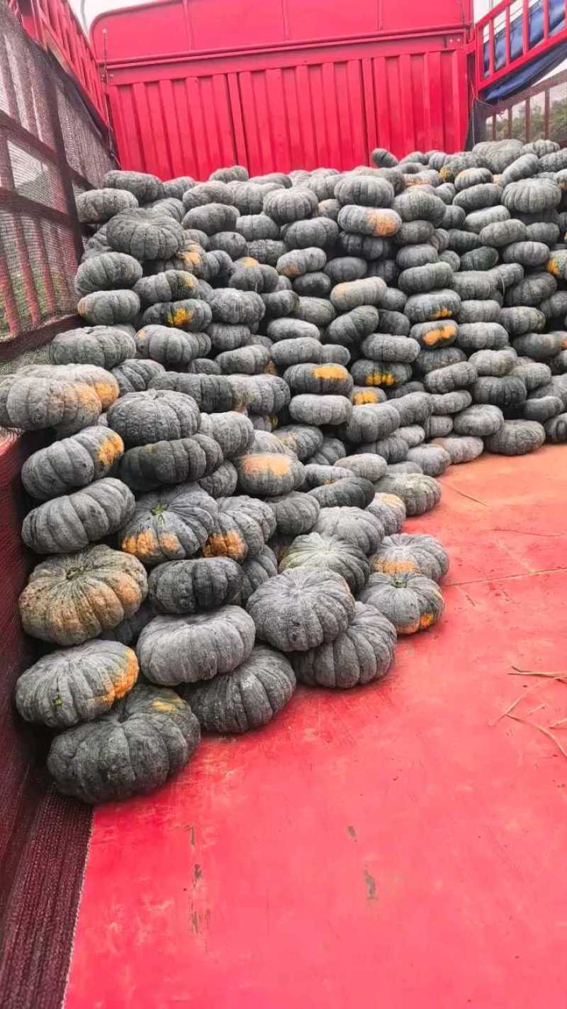 赖可丽南瓜大量上市欢迎新老顾客回购，规格2～5斤产地直供