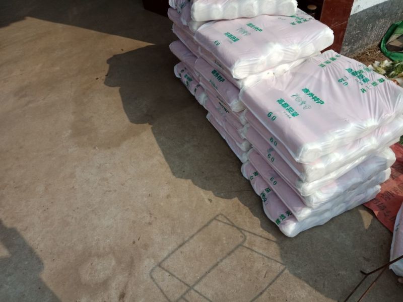 北京新三号白菜净菜4~6斤产地直发货源充足大量供应